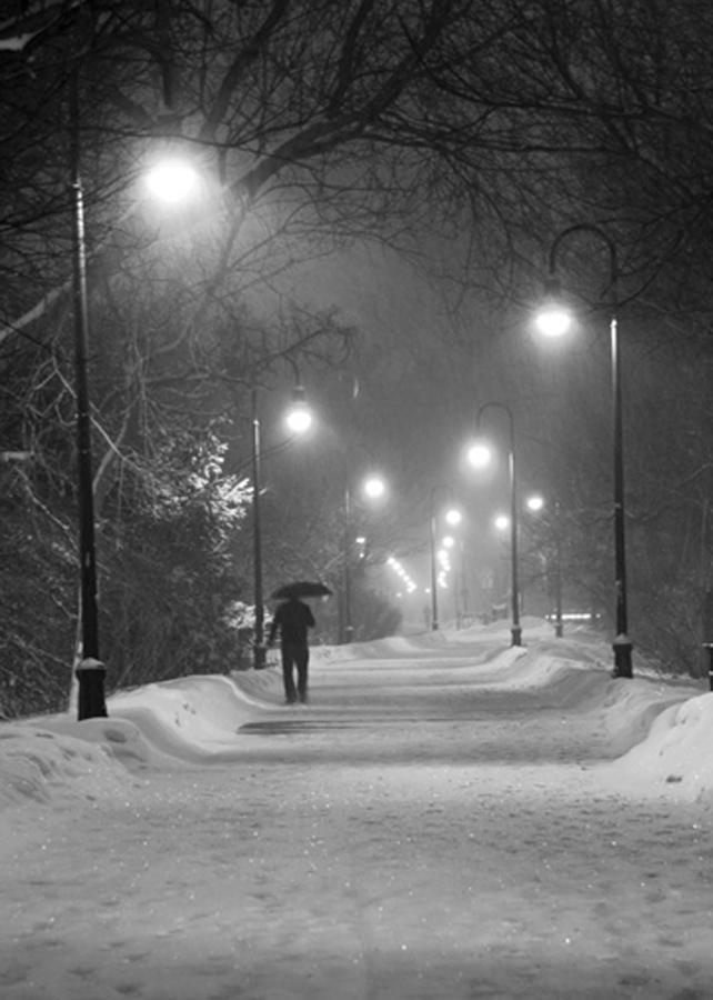 Davis Square Inn Somerville Bagian luar foto